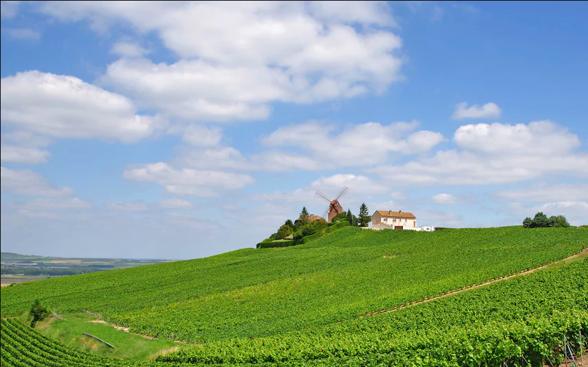 Vezernay France